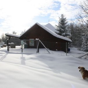 2011 Winter