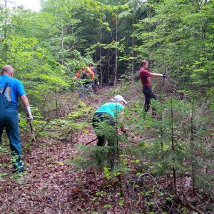 2016 DM Feld Arbeitseinsaetze