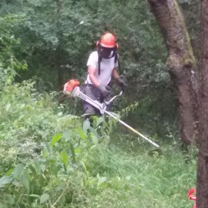 2016 DM Feld Arbeitseinsaetze